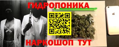 Альфа ПВП Кинель