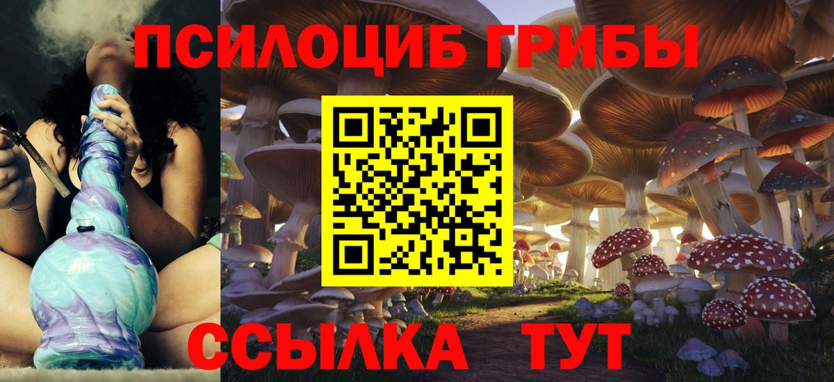 Кингисепп  Галлюциногенные грибы Psilocybe  Вход с VPN 